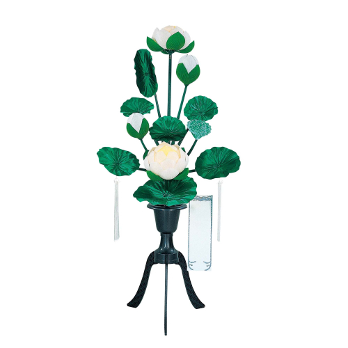 水葉蓮 二灯(白)