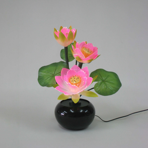 ルミナス1号 蓮華